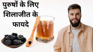 Benefits of Shilajit for Men in Hindi