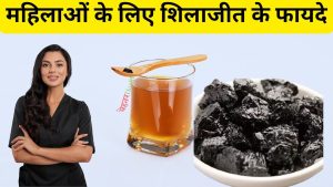 Benefits of Shilajit for Women in Hindi