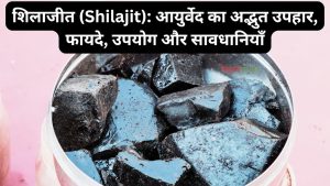 Benefits of Shilajit in hindi